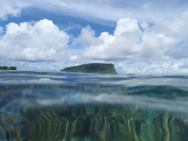 Snorkelling in Samoa with Turtles