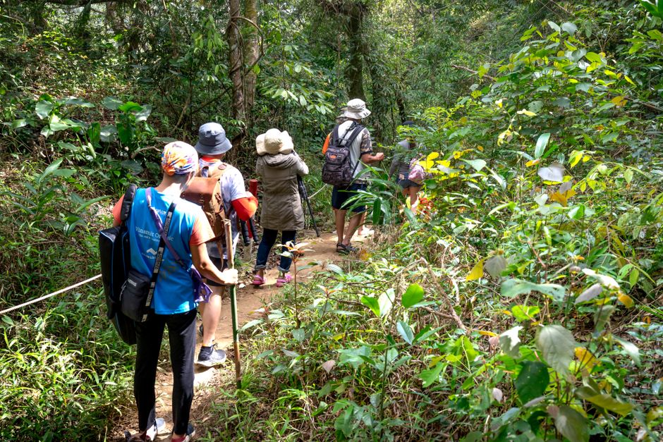 Backpacking Southeast Asia Budget 2026: Backpacking Southeast Asia on a Budget: The 2026 Cost Reality Check