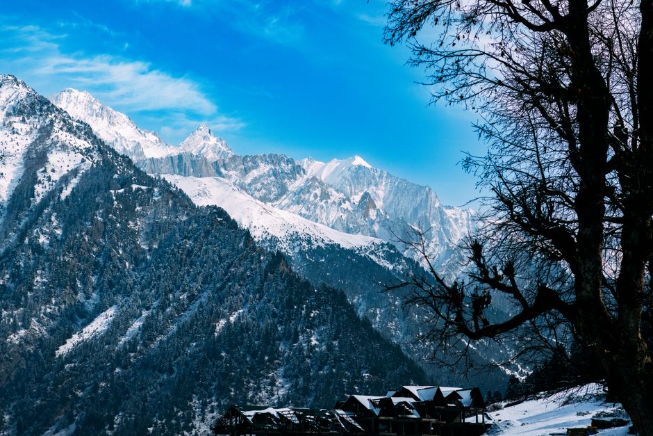 Breathtaking view of snow-covered mountains and pine trees under a blue sky.