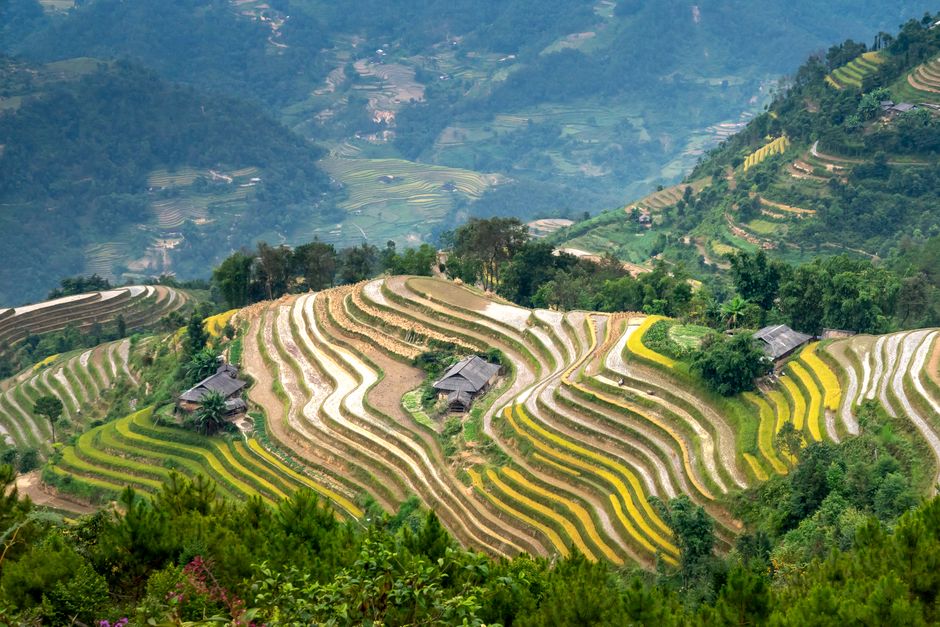 Breathtaking landscape of grassy green mountains near rice fields and settlement in countryside in day