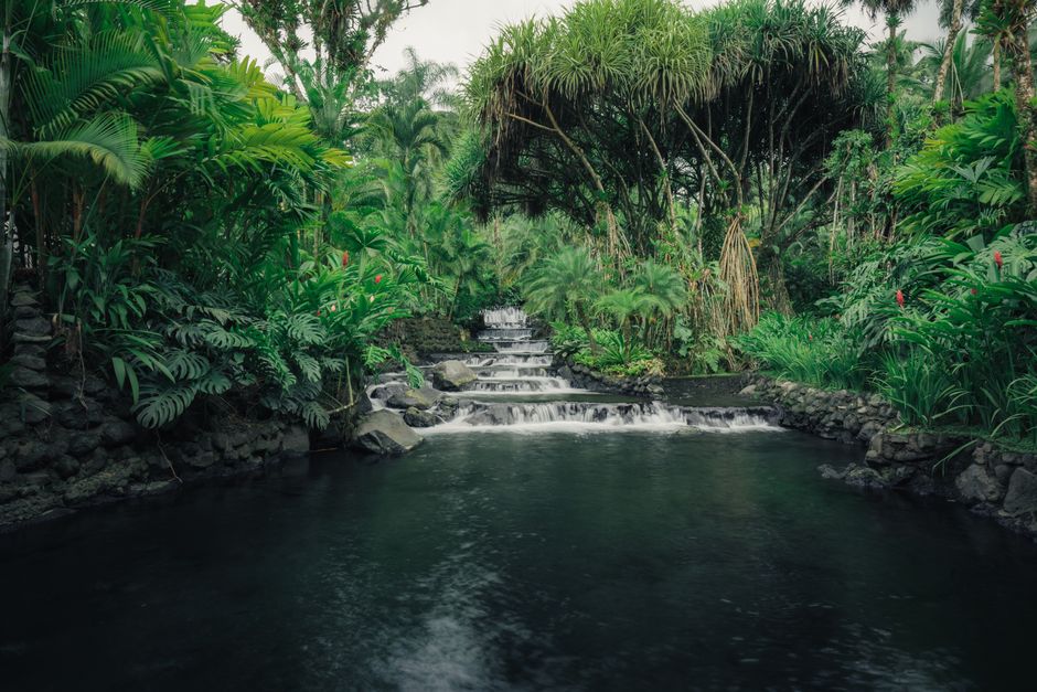 Serene tropical waterfall cascading through lush jungle foliage, surrounded by vibrant greenery and tranquil waters.