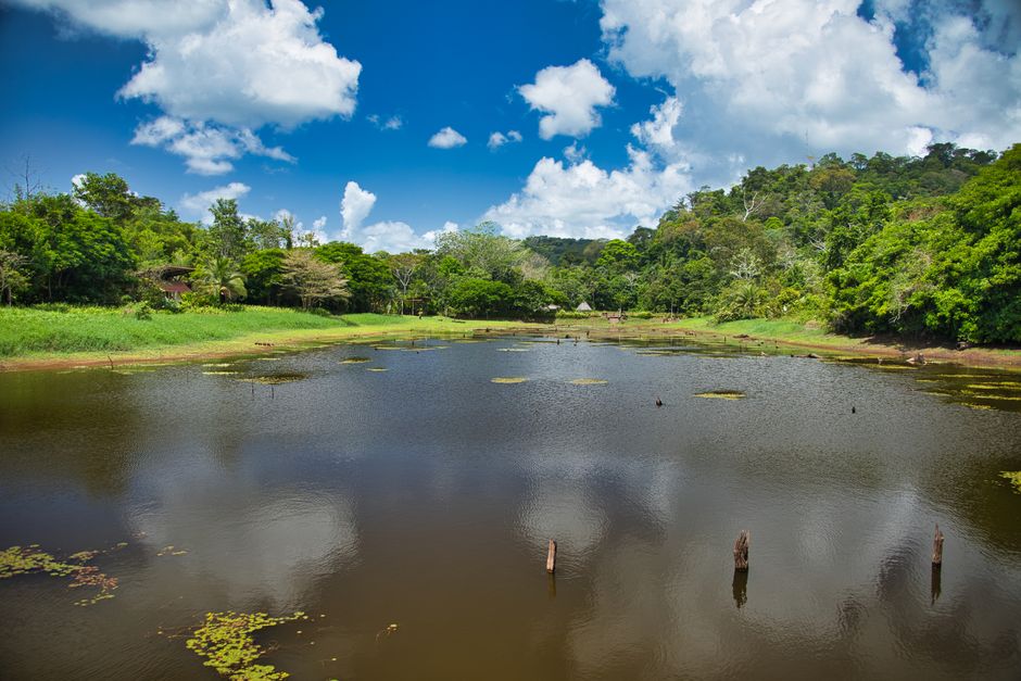 Costa Rica Travel Guide 2026: The Pura Vida Reality Check