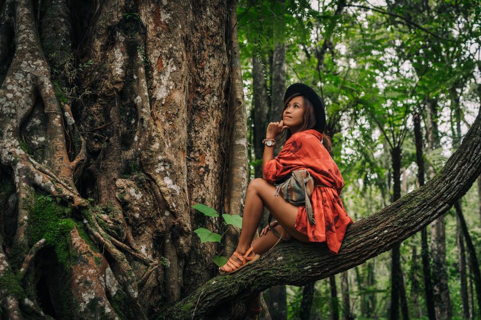 Woman wearing a red shirt and hat sitting on a tree branch in a lush forest.