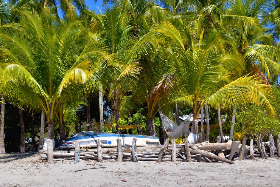 Relaxing tropical beach with palms, hammock, and sailboat by sandy shore.