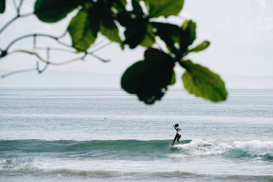 A woman surfer rides a wave gracefully at the shore, framed by leafy foliage.