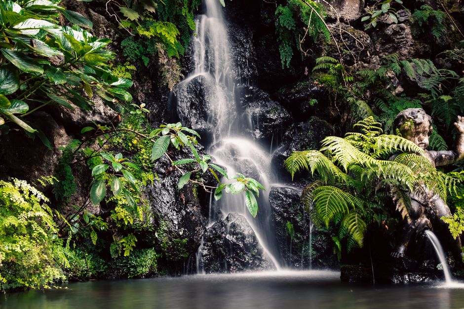 Madeira in Winter: Walk the Levadas, Skip the Crowds