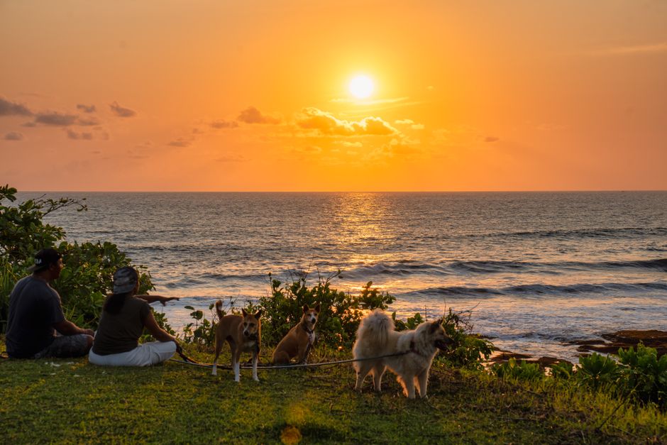 Relaxing sunset view in Bali with two people and dogs by the ocean.