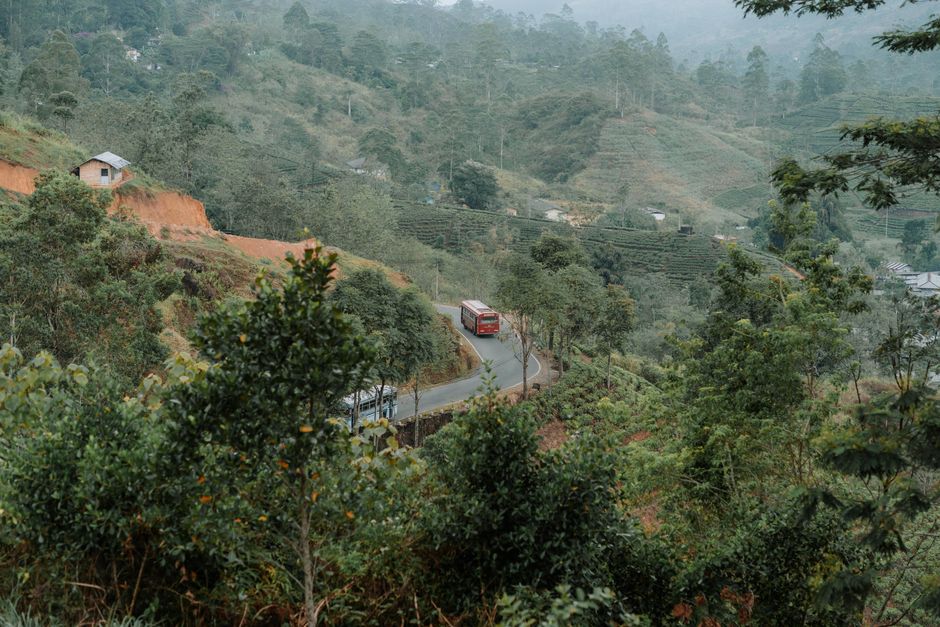 Red bus on winding road through Hatton hills