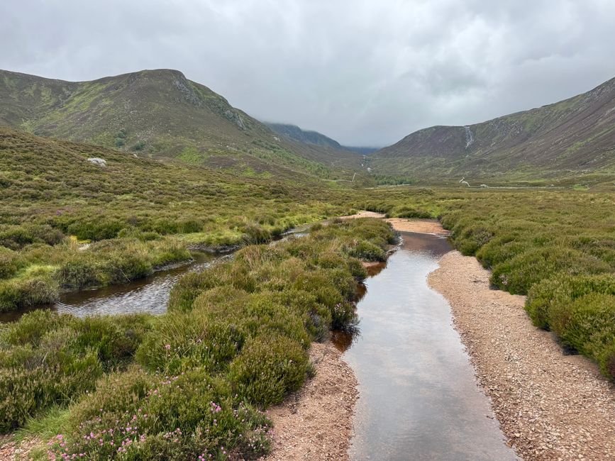 Explore a tranquil mountain valley with a winding stream under an overcast sky.