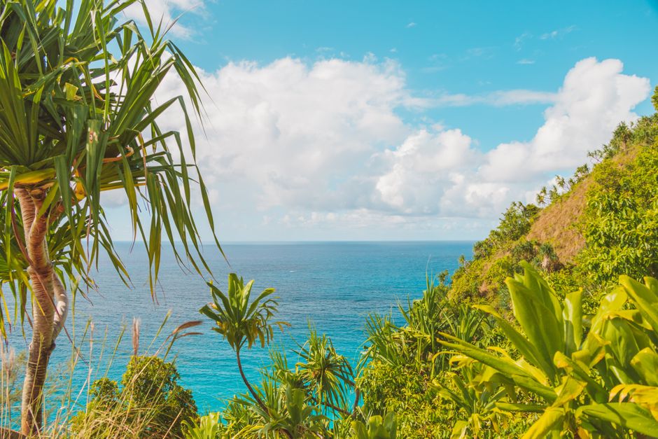 Solo Travel Mistakes New Zealand: 8 Solo Travel Mistakes in New Zealand and How to Stay Safe