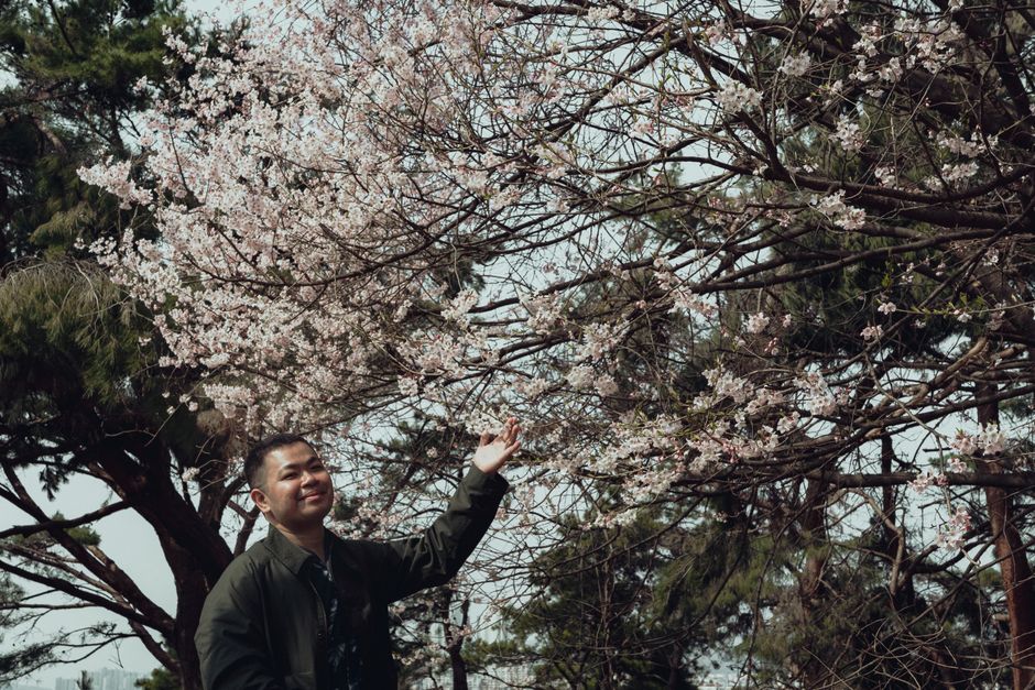 Spring in South Korea 2026: Seoul or Gyeongju?