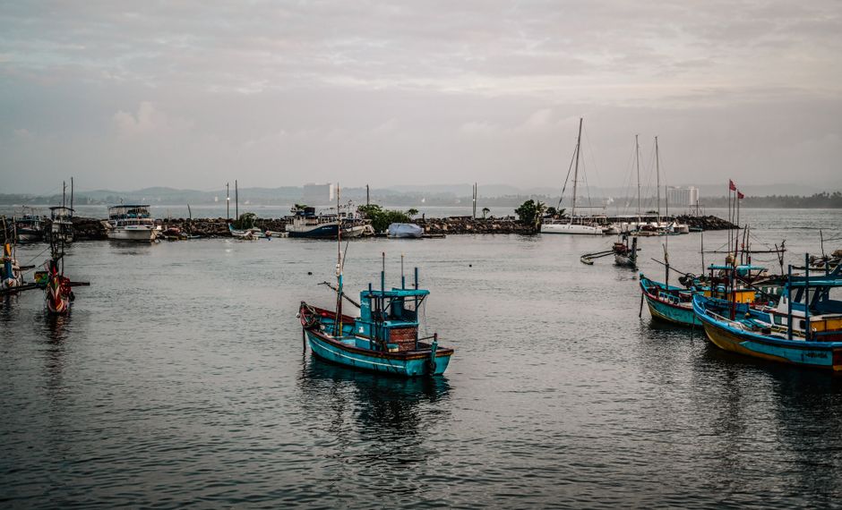Sri Lanka in January: Trains, Tea and the South Coast