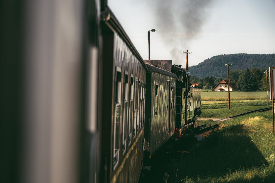 Steam locomotive travels through scenic countryside in Zittau, Germany, capturing vintage travel essence.