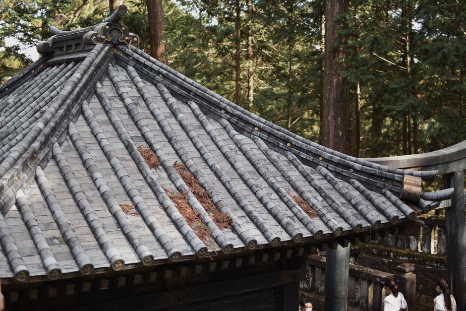 Traditional East Asian rooftop among forest trees