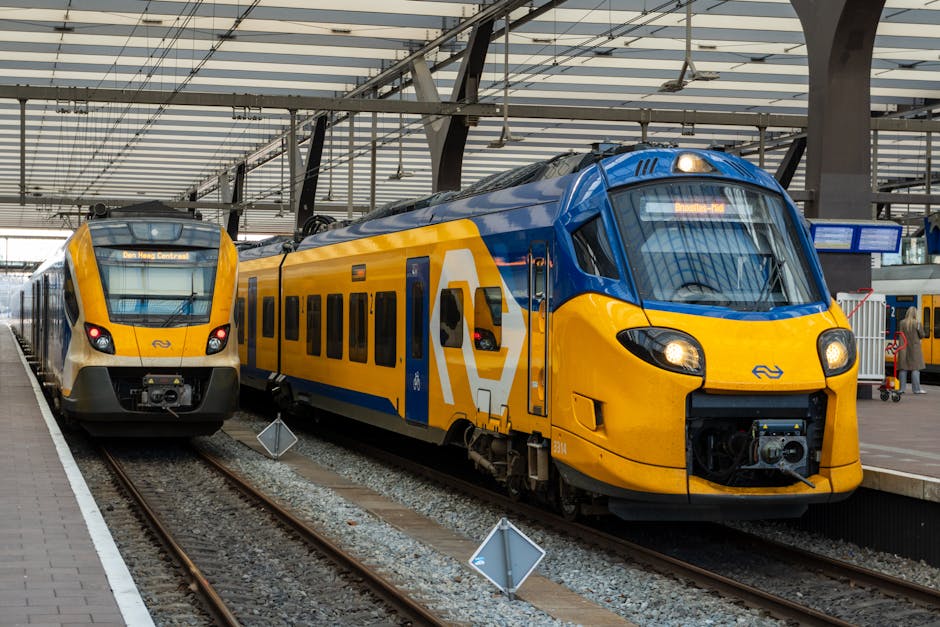 Two Dutch commuter trains at Rotterdam Central Station during the day.