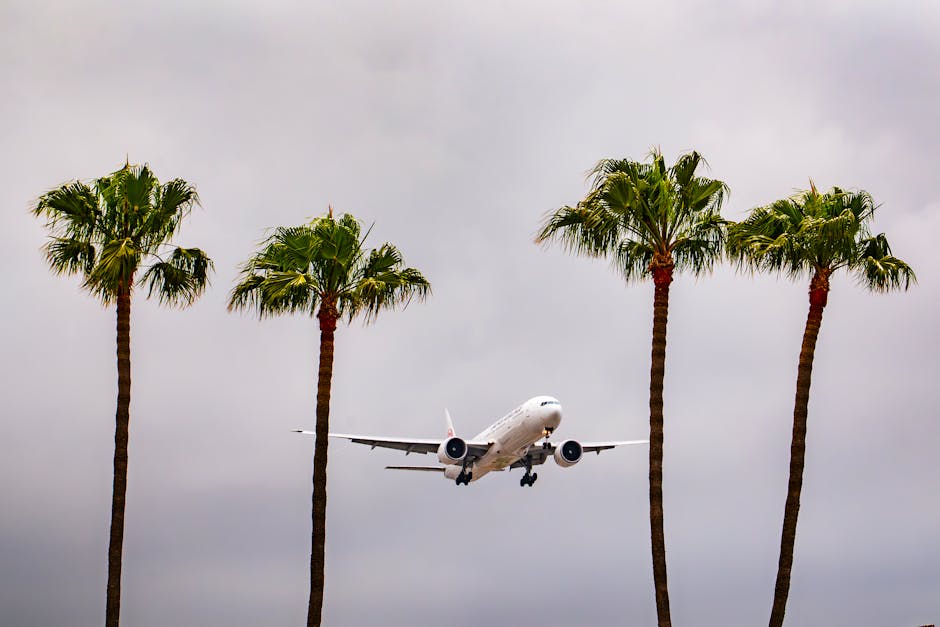 Airplane landing at Los Angeles International Airport surrounded by palm trees under cloudy skies.