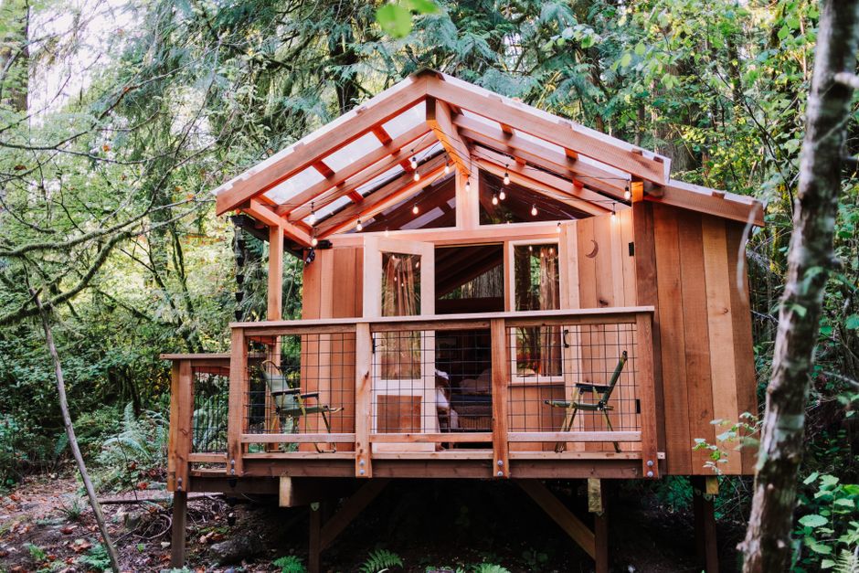 Charming wooden cabin in a verdant forest near Seattle, WA, showcasing rustic architecture.