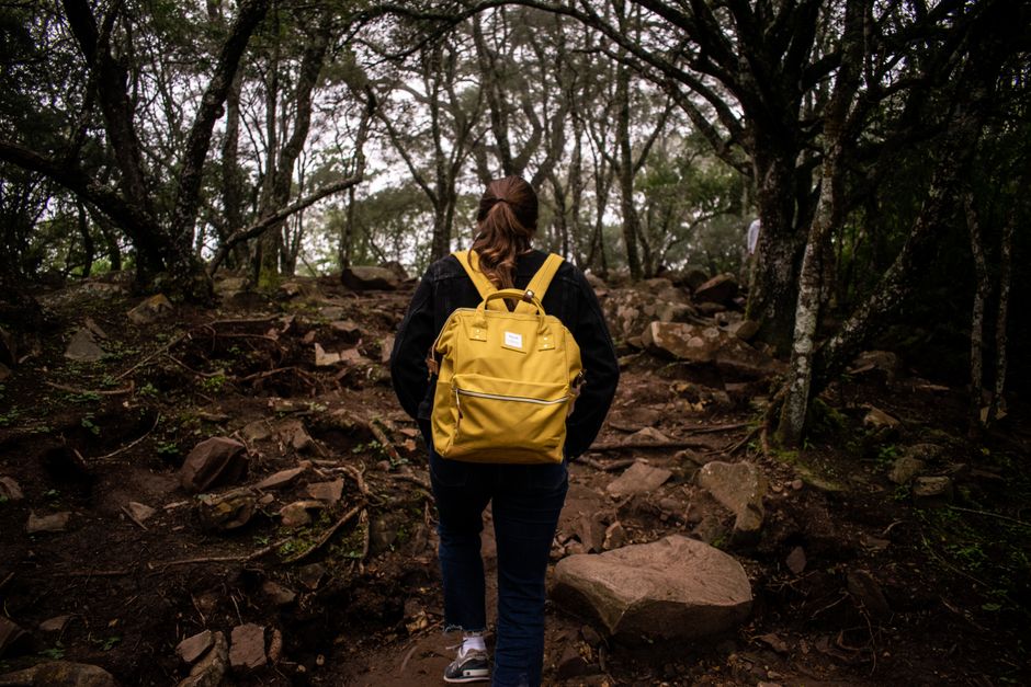 Person hiking through a rocky forest trail in Salta, Argentina, showcasing adventure and exploration.